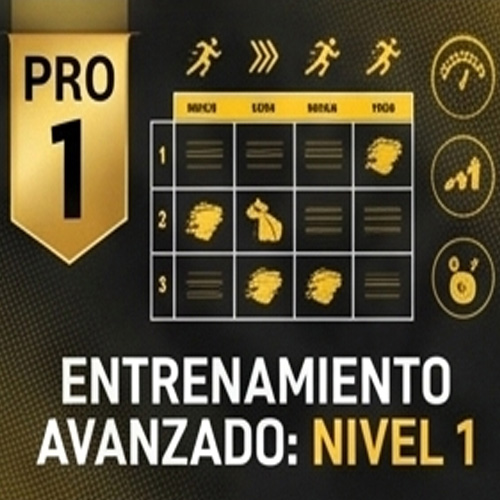 pro 1